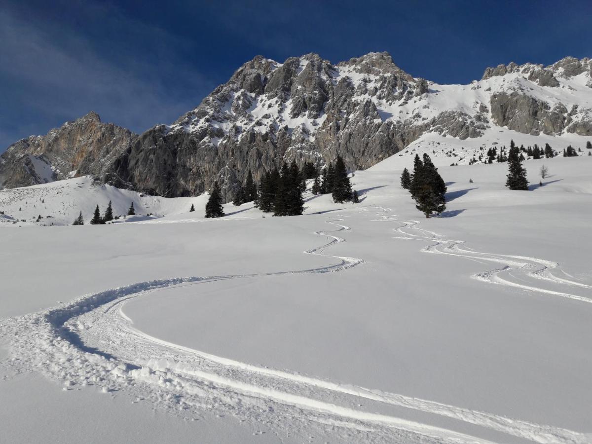Appartement Gipfelblick- Tiroler Zugspitze Arena In Biberwier Exterior foto